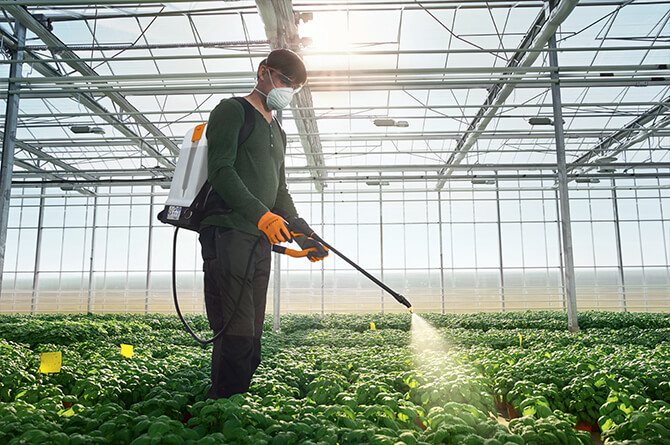 Die STIHL Rückenspritze SG 51 wird komfortabel auf dem Rücken getragen. STIHL Spritzgerät SG 51 im Einsatz